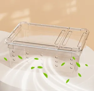 Transparente Acryl-Reptilien-Zuchtbox mit Belüftungslöchern und Luftstrom-Design-Detail