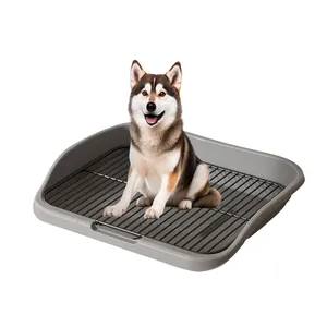 Grande vassoio toilette per cani con griglia metallica nera e un cucciolo di husky
