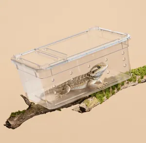 Transparente Reptilien-Zuchtbox für Eidechsen und Spinnen auf einem moosigen Zweig