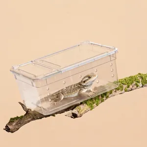 Transparente Reptilien-Zuchtbox für Eidechsen und Kleintiere auf einem Naturzweig