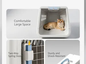 Detailed features of durable pet carrier box with spacious interior and spring door