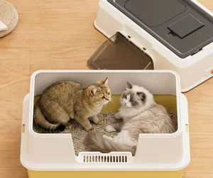 Großes Katzenklo im Detail mit geräumigem Innenraum und zwei Katzen.