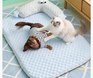 Vue détaillée d'un tapis de refroidissement bleu pour animaux avec un chat et un chien.