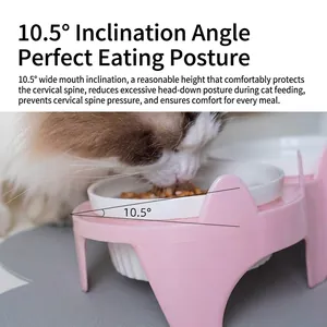 Ergonomischer Keramik Doppelnapf für Katzen mit 10,5 Grad Neigung für Nackenschutz