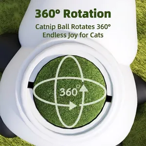 Vue macro détaillée d'une boule d'herbe à chat rotative à 360 degrés dans un support