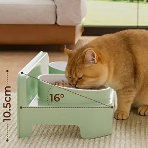 Moderner erhöhter grüner Doppelnapf für Katzen mit 16-Grad-Neigung zum Nackenschutz