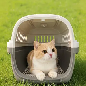 Caisse de transport portable pour chats et chiens sur une pelouse verte extérieure