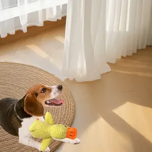 Beagle Welpe spielt mit einer gelben Quietsch-Plüschente in sonnigem Zimmer