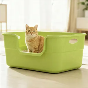 Große offene grüne Katzentoilette mit Spritzschutz in wohnlicher Zimmerumgebung