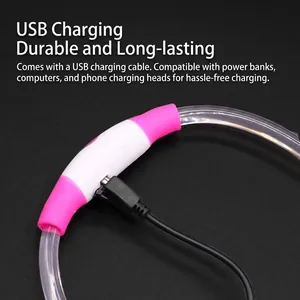 Collier LED rechargeable pour animaux avec gros plan sur le port de chargement USB
