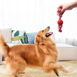 Durable cotton rope dog toy with red rubber ball for interactive play and chewing