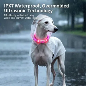 Waterproof rechargeable LED dog collar glowing pink for night safety in rain.