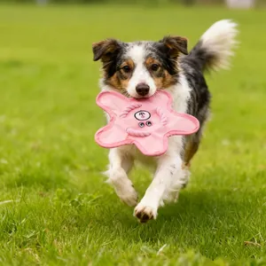 Jouet Frisbee Siffleur pour Chien en Tissu Oxford Étoile Jouet à Mâcher Interactif Papier Froissé pour Chiots
