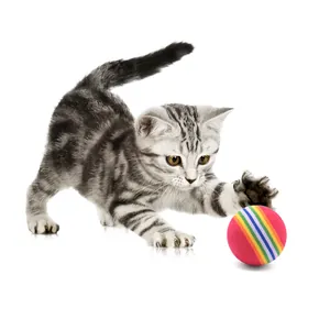 Pelota de juguete para gatos de espuma EVA arcoíris con un gatito jugando hoy