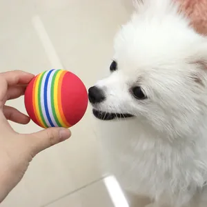Pelota arcoiris de espuma EVA suave para gatos y perros pequeños juego interactivo