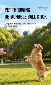 Action d'un lanceur de balles pour animaux avec un chien sautant au parc