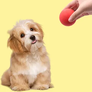 Duurzame massief rode rubberen hondenbal voor kauwen en interactief speelplezier