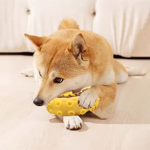 Chien Shiba Inu jouant avec un jouet à mâcher distributeur de friandises en TPR