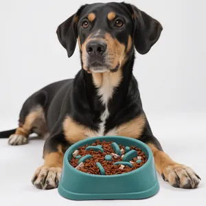 Teal pet slow feeder dog bowl designed to prevent choking and bloating with a dog