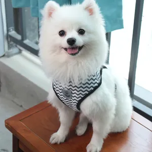 Pet Dog Cat Harness And Leash Set Breathable Mesh Vest Adjustable Soft Harness Zigzag Pattern For Small Dogs Cats