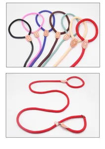 Durable nylon braided P-rope dog leash with leather joint details in multiple colors