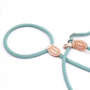 Durable mint green braided dog slip lead leash with premium leather reinforcement detail.