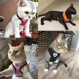 Verstelbaar ademend mesh harnas voor huisdieren getoond op verschillende soorten katten.
