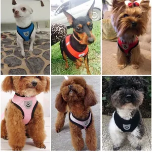 Ademend hondentuigje van mesh voor kleine honden in diverse kleuren en dagelijkse situaties