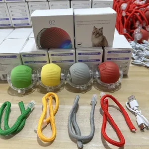 Gedetailleerd overzicht van interactieve kattenbalspeeltjes met gekleurde touwen en USB-kabel