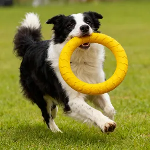 Resistente anello giocattolo in EVA giallo per cani di grossa taglia per gioco e addestramento