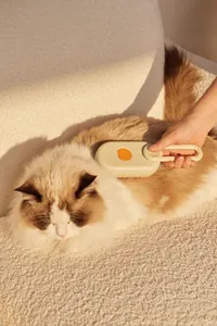 Gros plan d'une brosse de toilettage crème utilisée sur un chat à poils longs