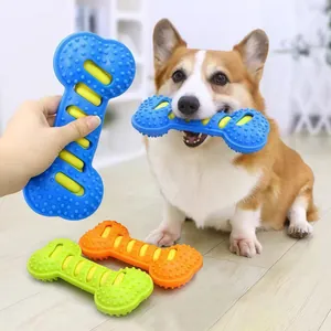 Jouets à mâcher durables en forme d'os pour chiens pour le nettoyage des dents