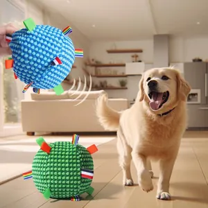 Kleurrijke gestructureerde hondenbal met piepende linten voor interactief spelen in huis.