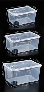 Detaillierte Größenangaben für transparente Reptilien-Zuchtboxen mit Belüftungslöchern