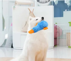 Chien blanc mordant un canard en peluche bleu dans un intérieur lumineux