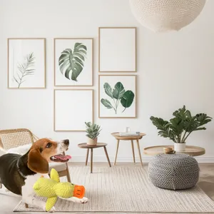 Beagle spielt mit einem quietschenden gelben Plüschente in einem hellen Wohnzimmer