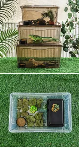 Detailansicht eines transparenten Terrariums mit natürlicher Moosdekoration von oben