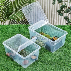 Boîte d'élevage transparente pour reptiles avec couvercle ventilé pour les tortues