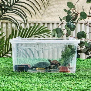 Bac d'élevage de reptiles transparent pour tortues et lézards dans un décor de jardin