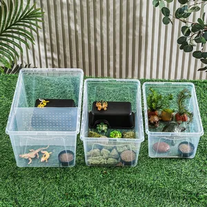 Boîtes d'élevage transparentes pour reptiles en trois tailles pour geckos et lézards