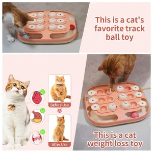 Détail du jouet puzzle interactif pour chat avec boules de rail et compartiments coulissants