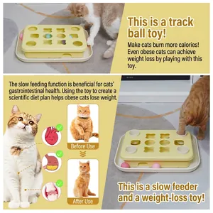 Jouet interactif casse-tête pour chat pour perte de poids et santé digestive