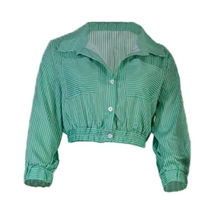 Front view of a green and white striped cropped long-sleeved shirt with elastic hem