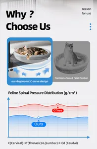 Infografik zeigt ergonomisches Schreibtisch-Katzenbett für optimale Wirbelsäulenunterstützung.