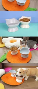 Detailed view of elevated ceramic cat bowls with ergonomic tilted design for neck protection
