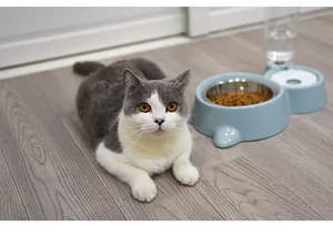 Dispensador de agua automático y cuenco de acero inoxidable para gatos en azul