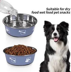Double-layer stainless steel pet bowl for cats and dogs, durable and slip-resistant