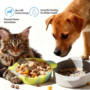 Silicone slow feeder dog and cat bowl with anti-choke design and rainbow pattern