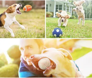 Dogs playing outdoors with various squeaky sports balls including baseball and football