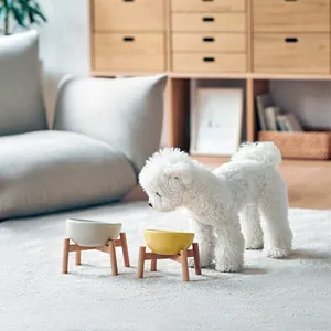 Bol pour Animaux en Céramique Incliné Avec Support en Bois Surélevé Protection du Cou Ergonomique Chat Chien Bol Minimaliste